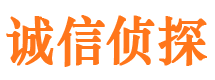 蒲江市私家侦探